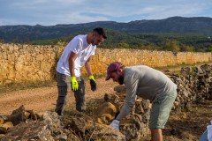 Volunteers for Stari Grad Plain / UNESCO / HVAR 2025