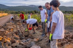 Volunteers for Stari Grad Plain / UNESCO / HVAR 2025