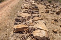 Volunteers for Stari Grad Plain / UNESCO / HVAR 2025