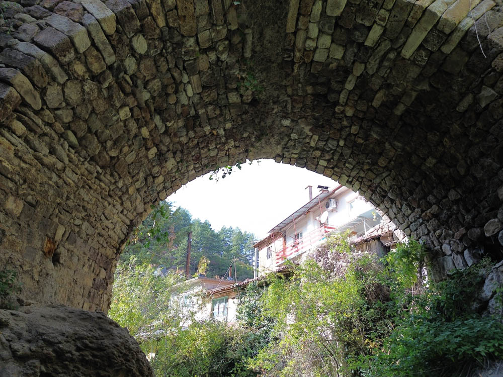 DCIM101MEDIADJI_0275.JPG