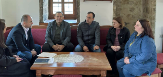 План за управување со споменичката целина „Старото градско јадро на Кратово“